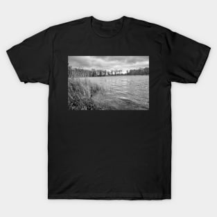 Riverside reeds blowing in the wind in the English countryside T-Shirt